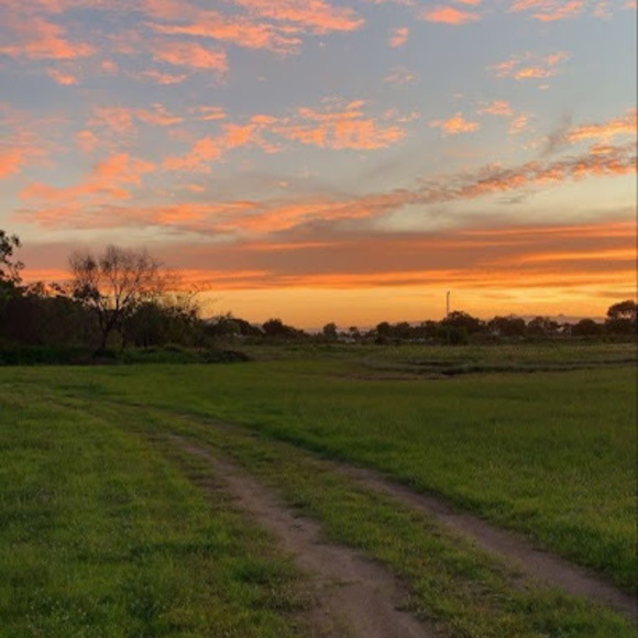 Meet your Posher, Annika - Picture 1 of 1